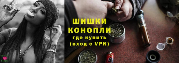 шишки Баксан